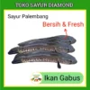 Ikan Gabus Fresh - Palembang
