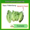 Cuciwis Sayur Fresh Palembang