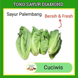 Cuciwis Sayur Fresh Palembang