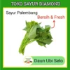 Daun Ubi Selo