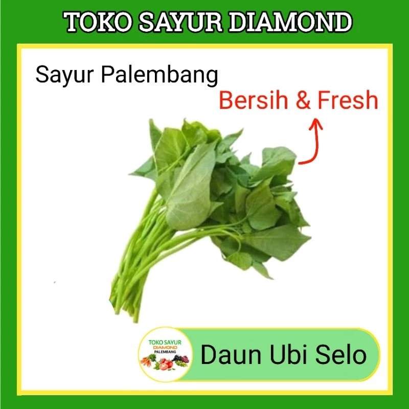 Daun Ubi Selo