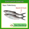Ikan Bandeng - Fresh Palembang