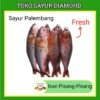 Ikan Pisang - Pisang