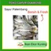 Ikan Selar