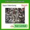 Ikan Lambak fresh