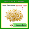 Kecambah Toge Tauge