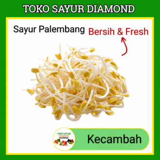 Kecambah Toge Tauge
