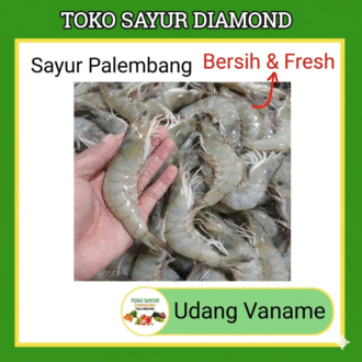 Udang Vaname Fresh