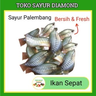 Ikan Sepat - Fresh Palembang
